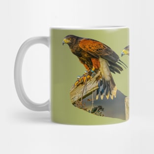 Pair of Harris Hawks on the hunt Mug